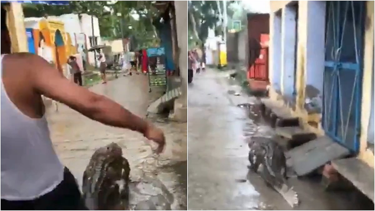 X/@gharkekalesh : Screengrabs from the viral video | 